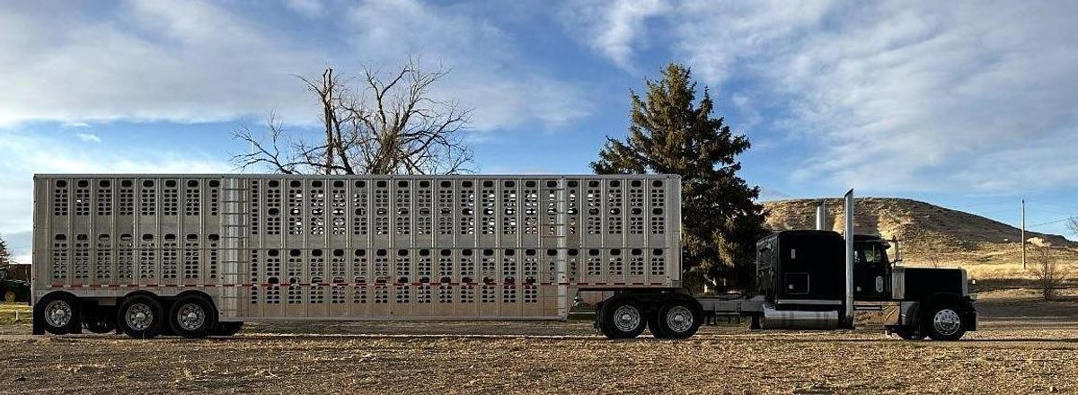 Used 2022 WILSON 53 ft x 102 in