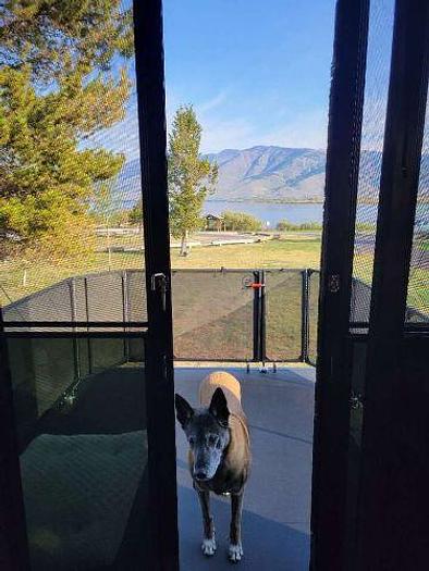 Used 2021 Grand Design Momentum M-Class 349M