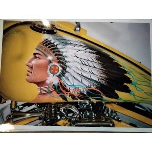 Used 2001 Indian Scout Softtail