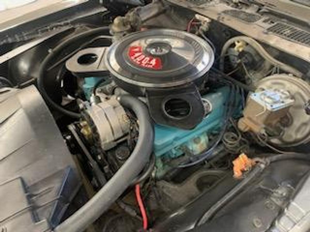 Used 1974 Pontiac Firebird Formula