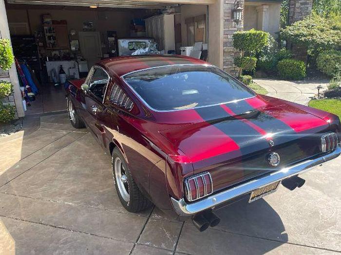 Used 1965 Ford Mustang Fastback