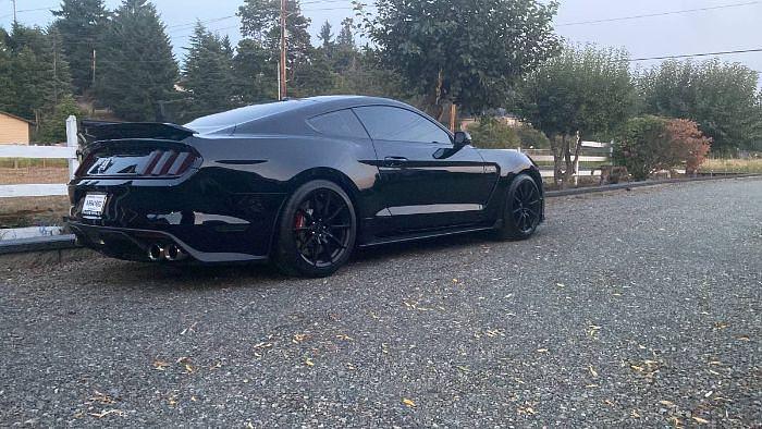 Used 2016 Ford Mustang Shelby GT350