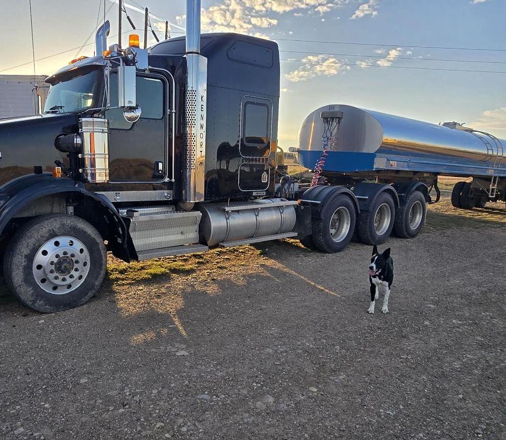 Used 2008 KENWORTH T800