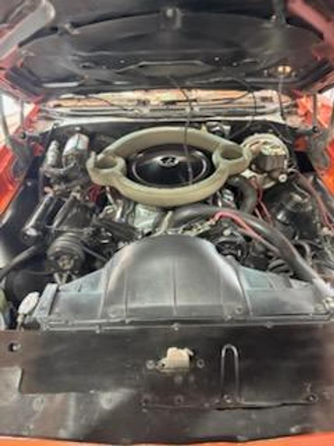 Used 1969 Pontiac GTO Judge