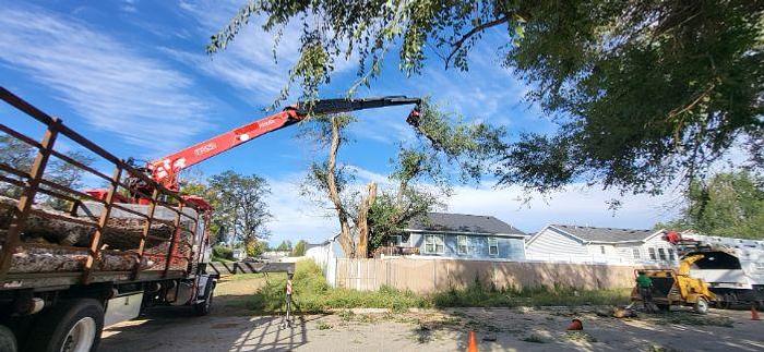 Used 2006 STERLING LT9500 with a Fassi F330SE Crane