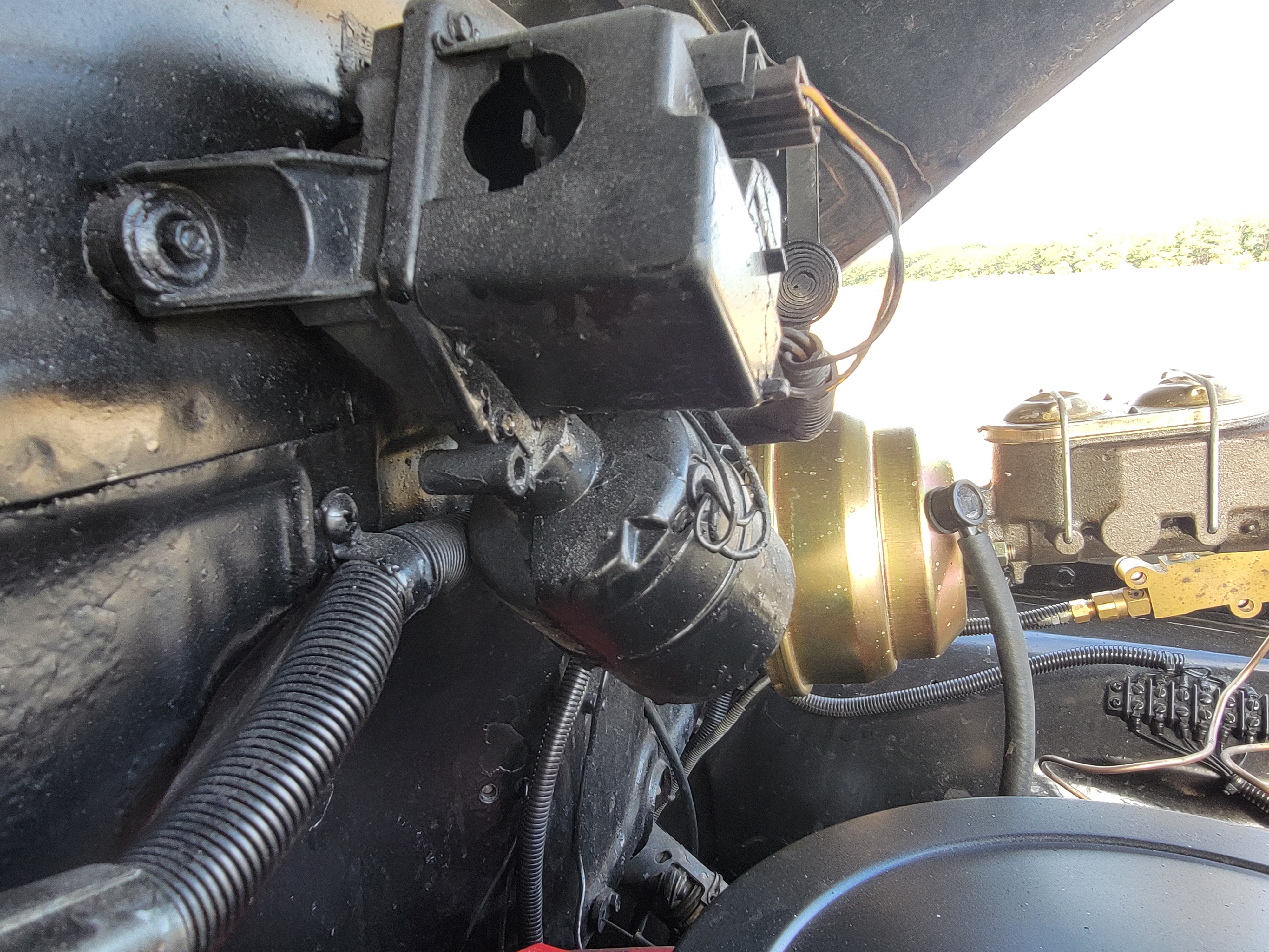 Used 1949 Chevrolet 3100