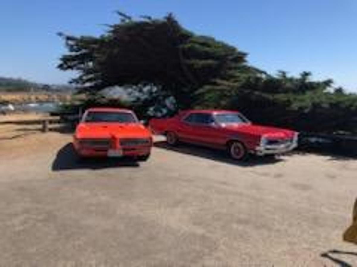 Used 1969 Pontiac GTO Judge