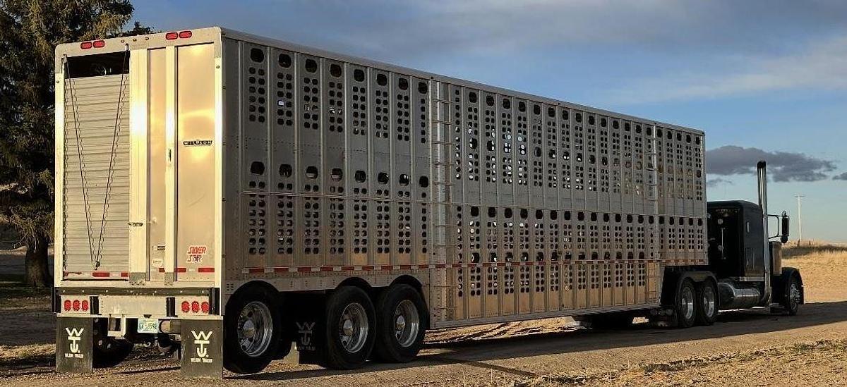 Used 2022 WILSON 53 ft x 102 in