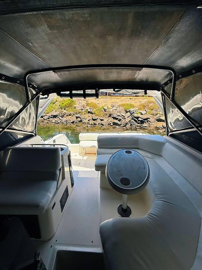 Used 1991 Bayliner Avanti 3555