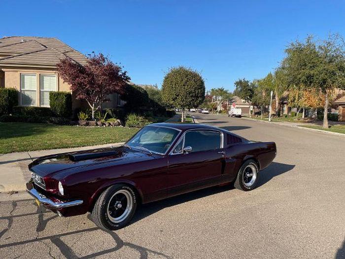 Used 1965 Ford Mustang Fastback