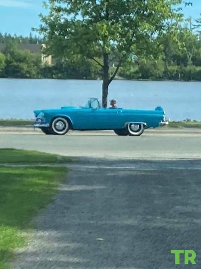Used 1956 Ford Thunderbird