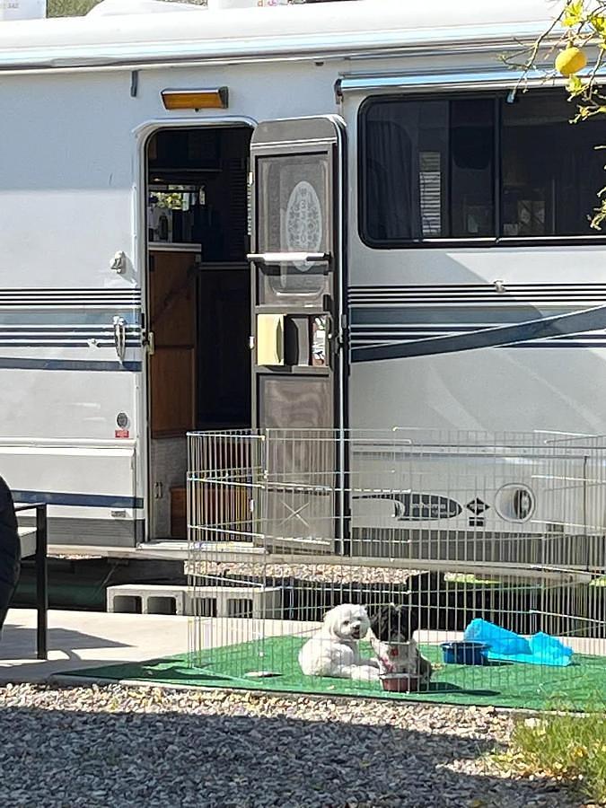 Used 1998 Foretravel Stationary Class A Motorhome