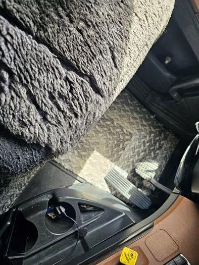 Used 2019 Cascadia 116