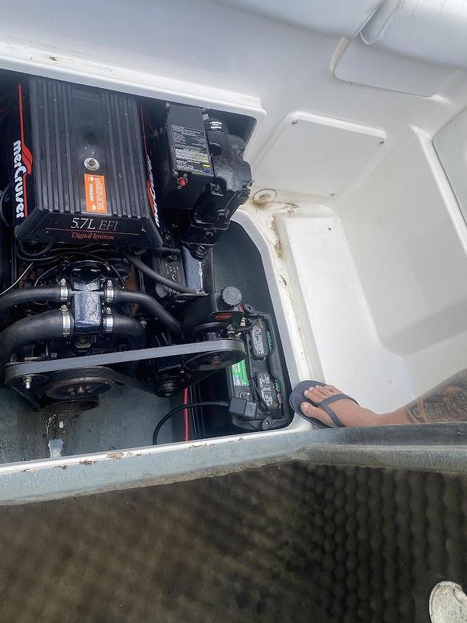 Used 1997 Sea Ray 215 Express Cruiser