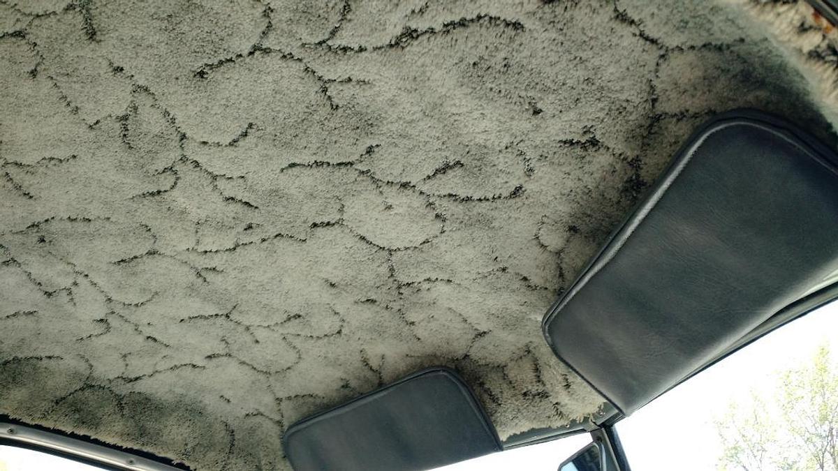 Used 1950 GMC Half Ton Pickup