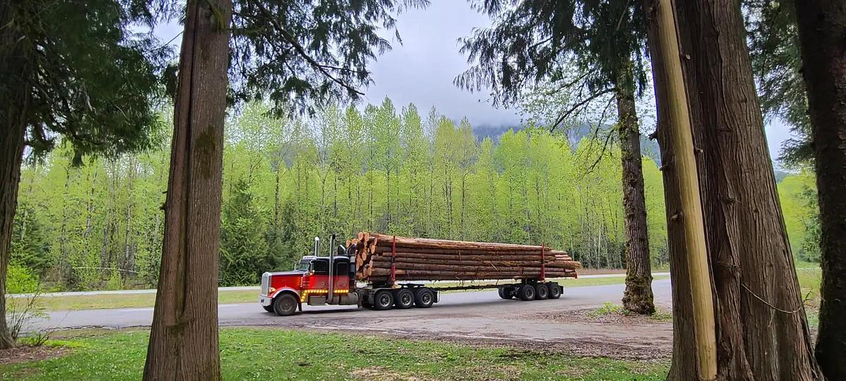 Used 2024 Peterbilt 389 Tri Drive