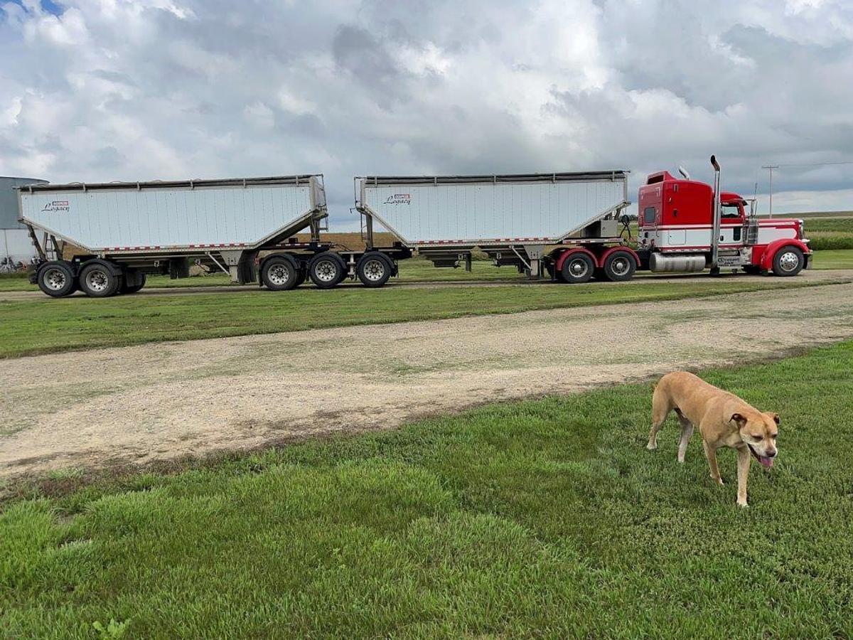 Used 2007 PETERBILT 379