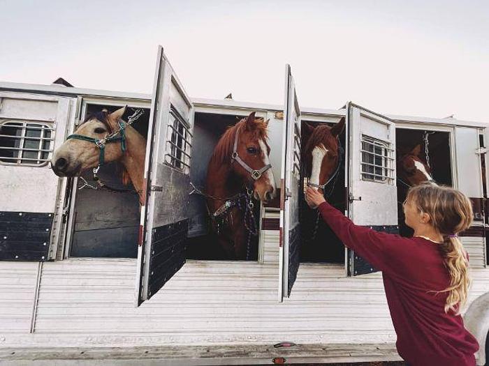 Used 1986 Lite Line 9 Horse Trailer