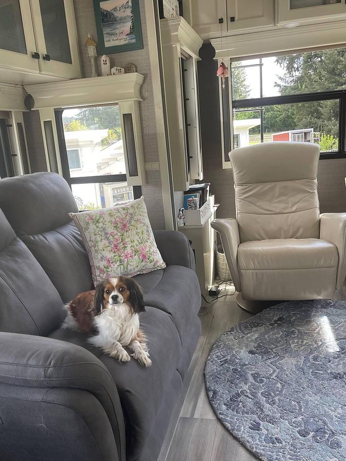 Used 2022 Vanleigh Beacon 390GBB