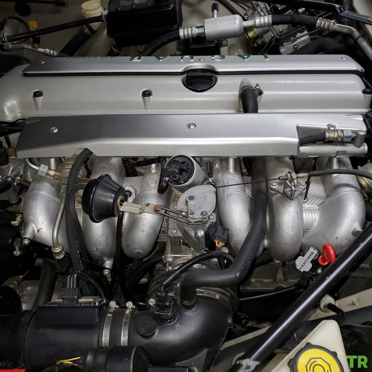 Used 1996 Jaguar