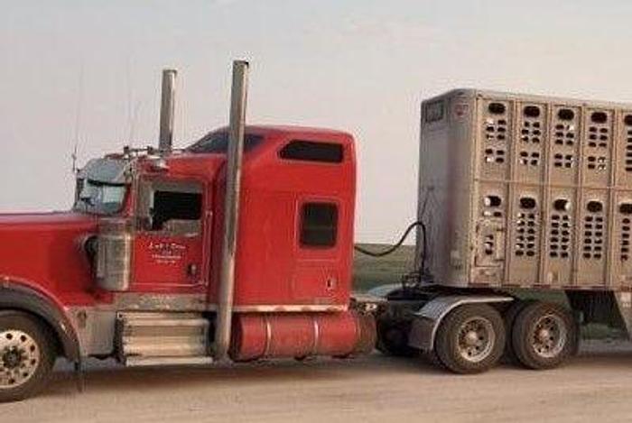 Used 2006 KENWORTH W900L