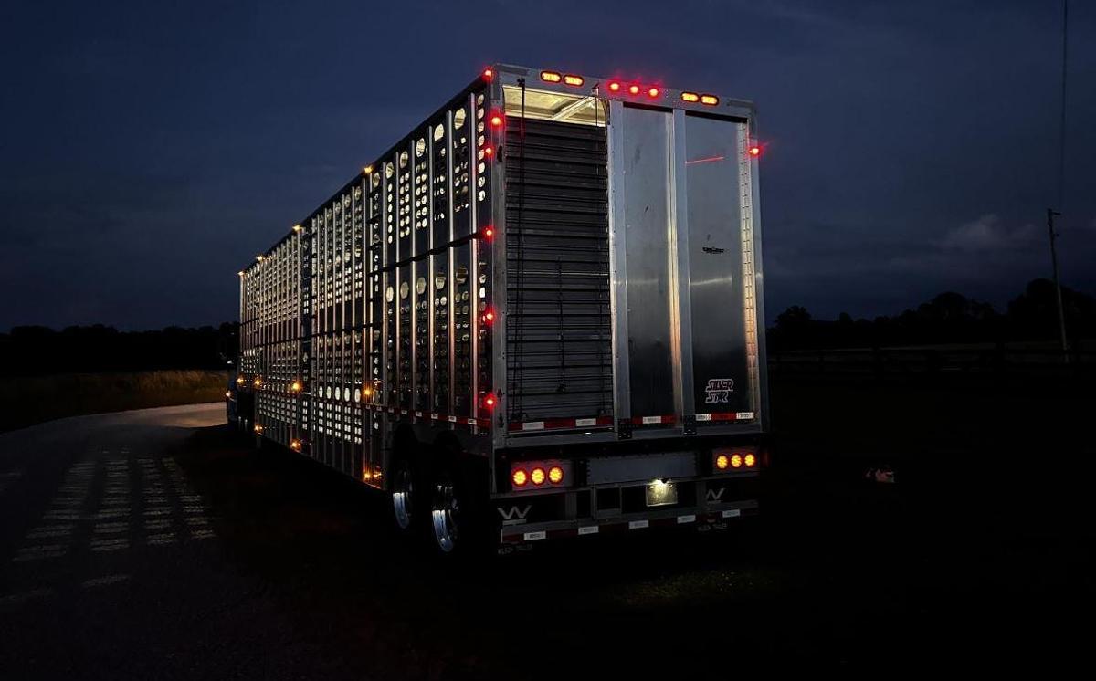 Used 2019 WILSON PSDCL-402 Livestock Trailer