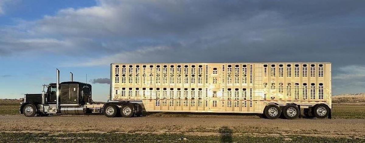 Used 2022 WILSON 53 ft x 102 in