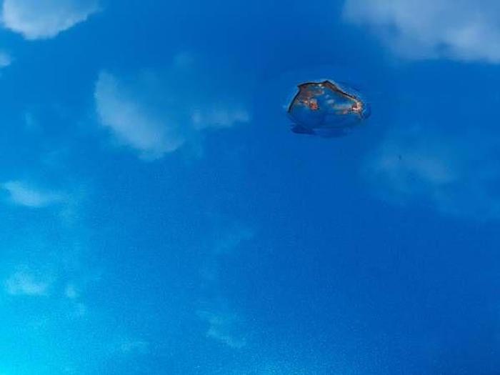 Used 1966 Chevrolet Nova