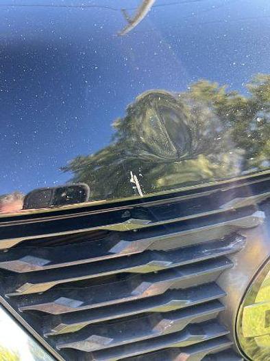 Used 2019 Nissan Rogue SL AWD