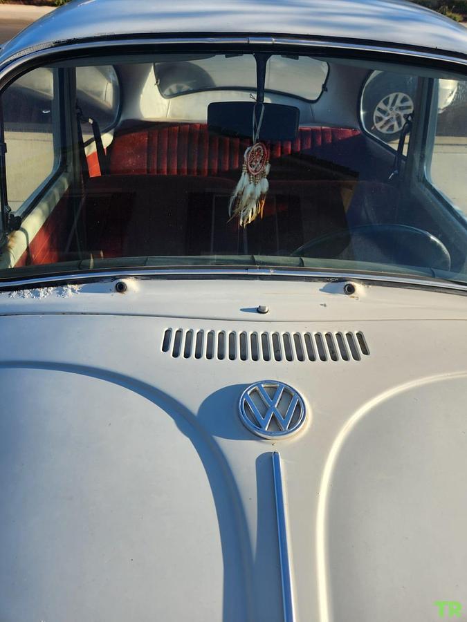Used 1969 Volkswagen Beetle