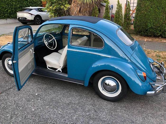 Used 1962 Volkswagen Beetle