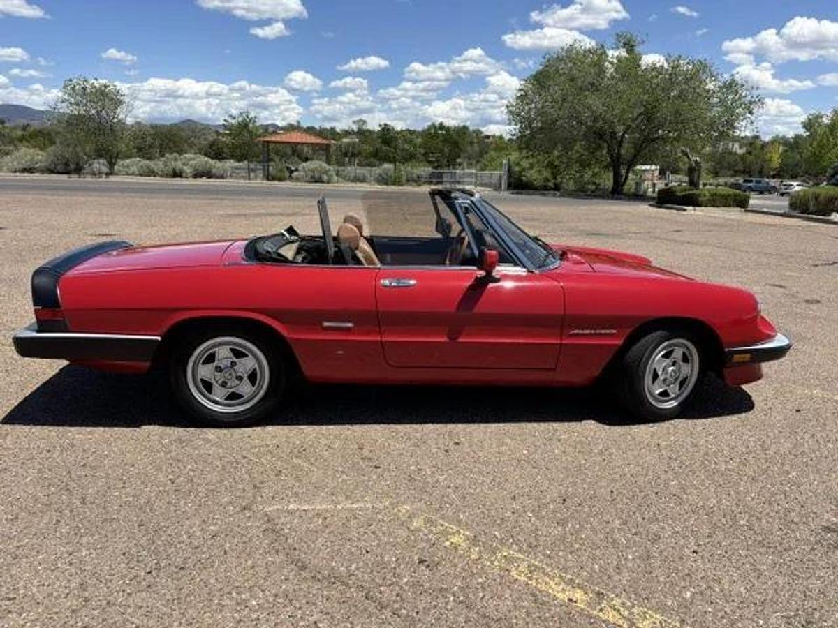 Used 1986 Alfa Romeo Spider