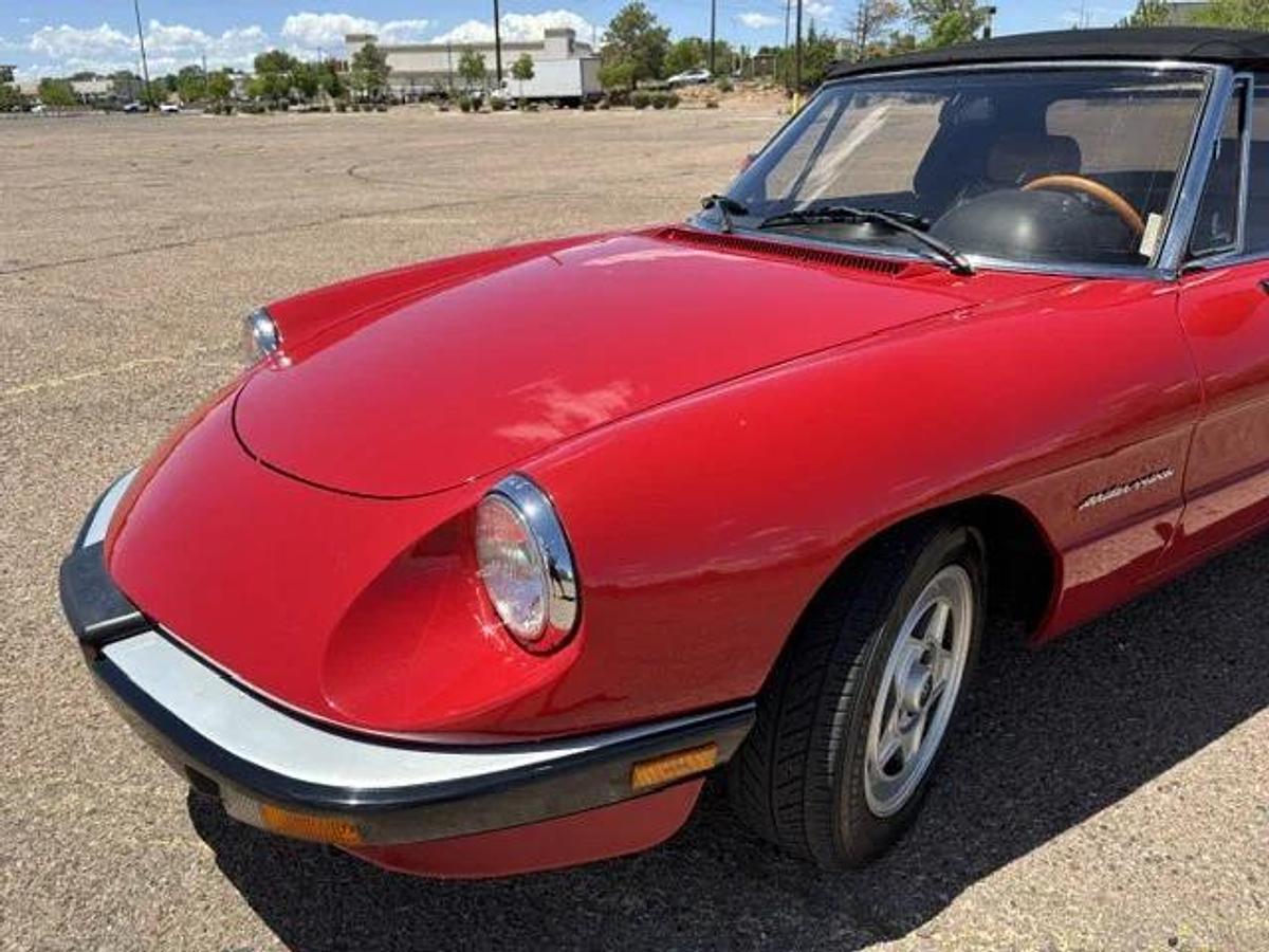 Used 1986 Alfa Romeo Spider
