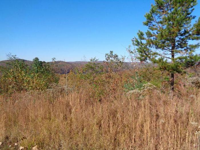 Used LOT 22 TWIN FEATHERS DR