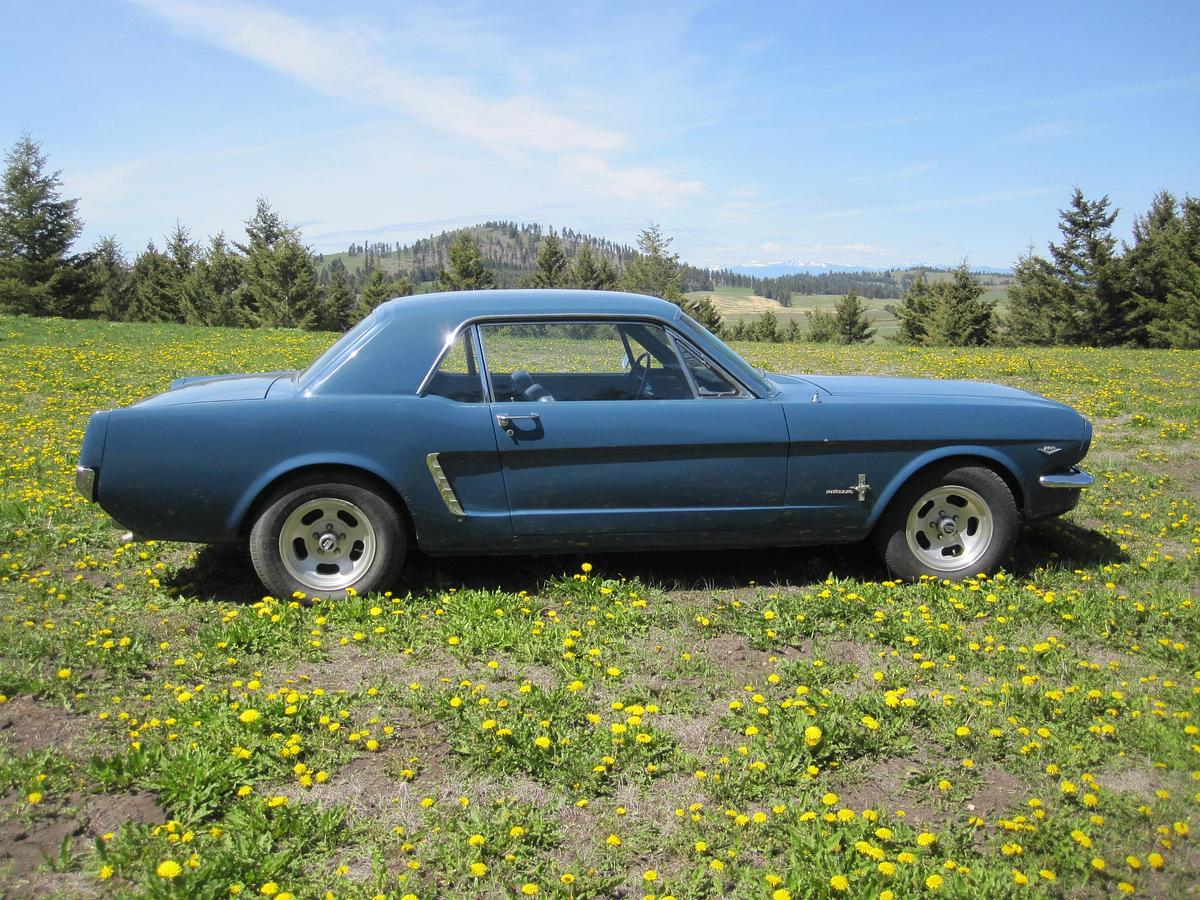 Used 1965 Ford Mustang
