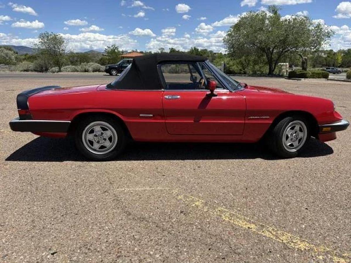Used 1986 Alfa Romeo Spider