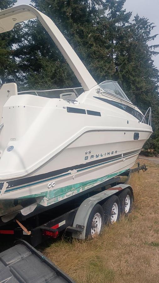 Used 1995 Bayliner Sun Bridge