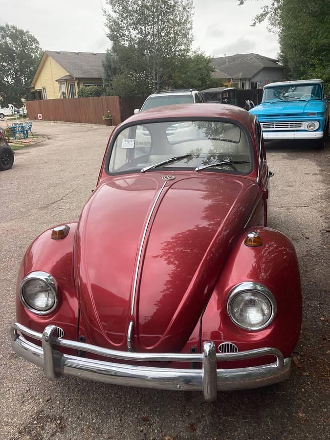 Used 1967 Volkswagen Beetle
