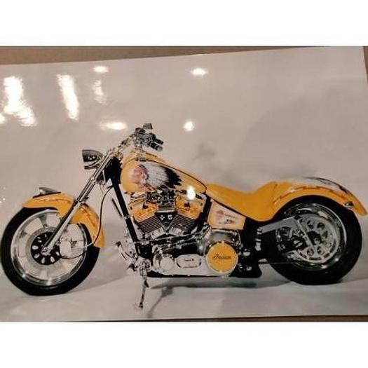 Used 2001 Indian Scout Softtail