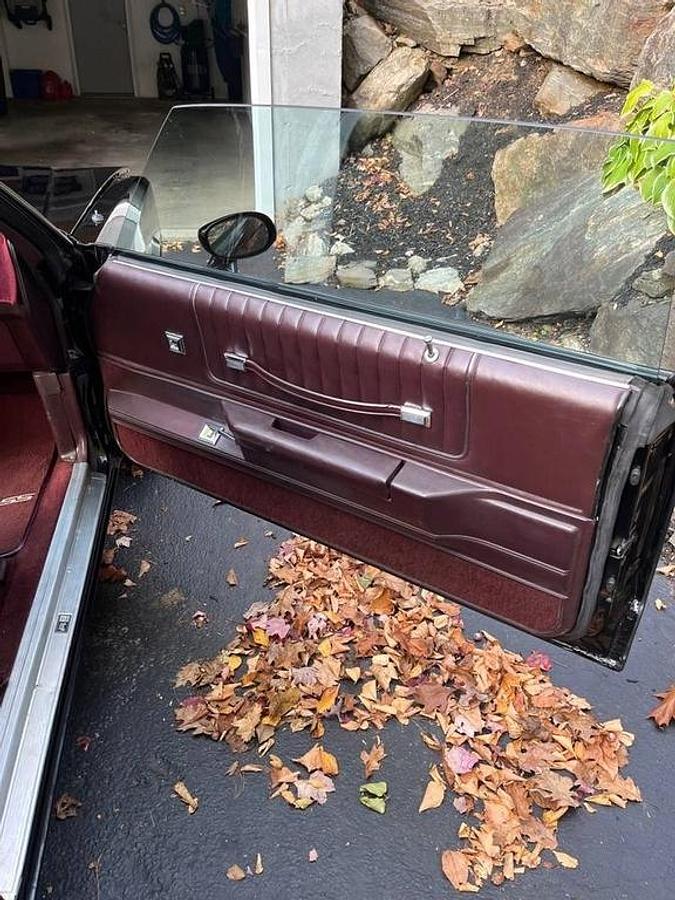 Used 1985 Chevrolet Monte Carlo SS