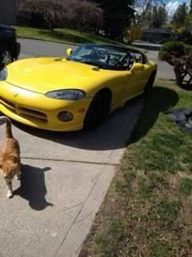 Used 1995 Dodge Viper RT/10