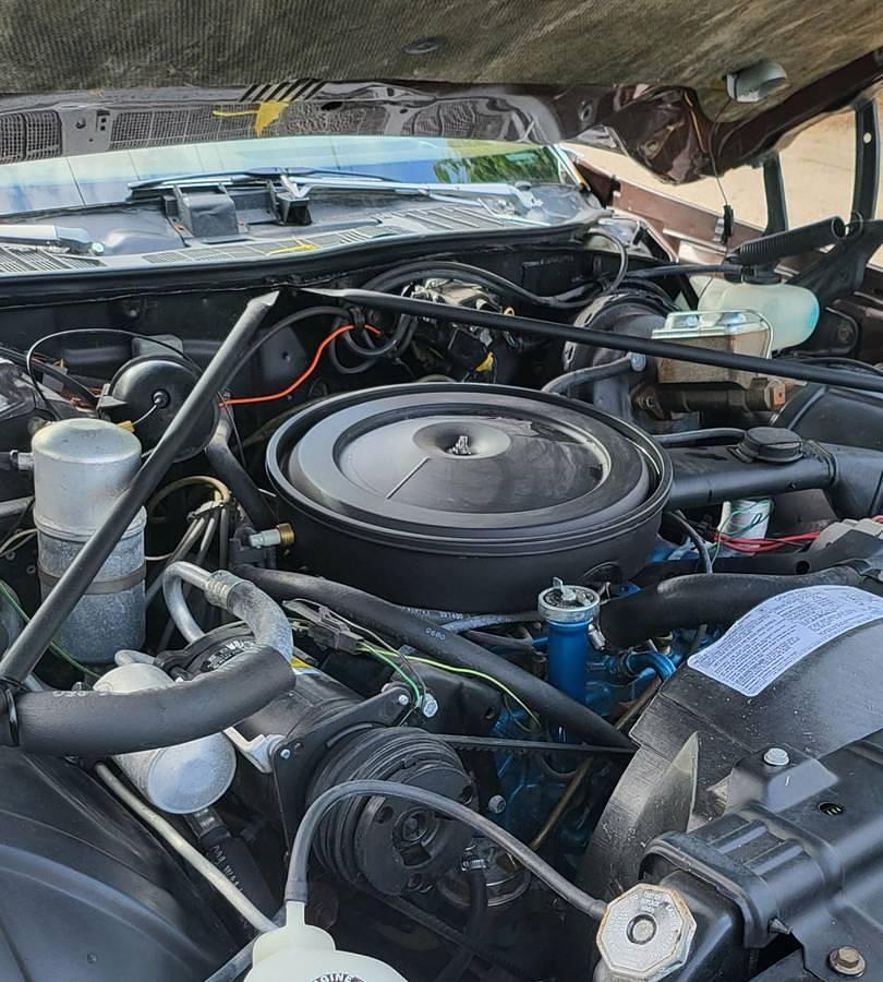 Used 1977 Oldsmobile Cutlass Supreme