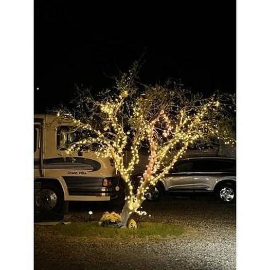 Used 1998 Foretravel Motorcoach Stationary RV