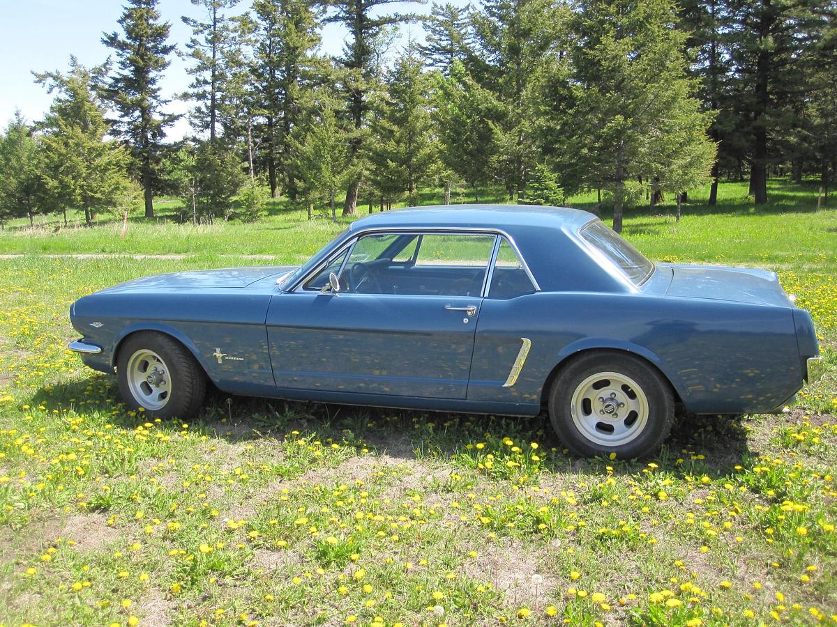 Used 1965 Ford Mustang