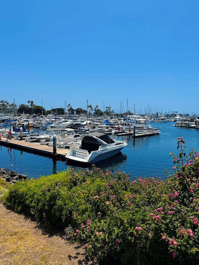 Used 1991 Bayliner Avanti 3555