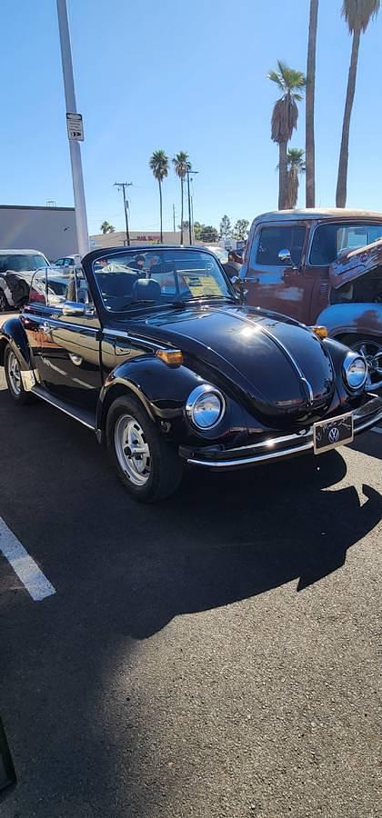 Used 1979 Volkswagen Beetle Convertible