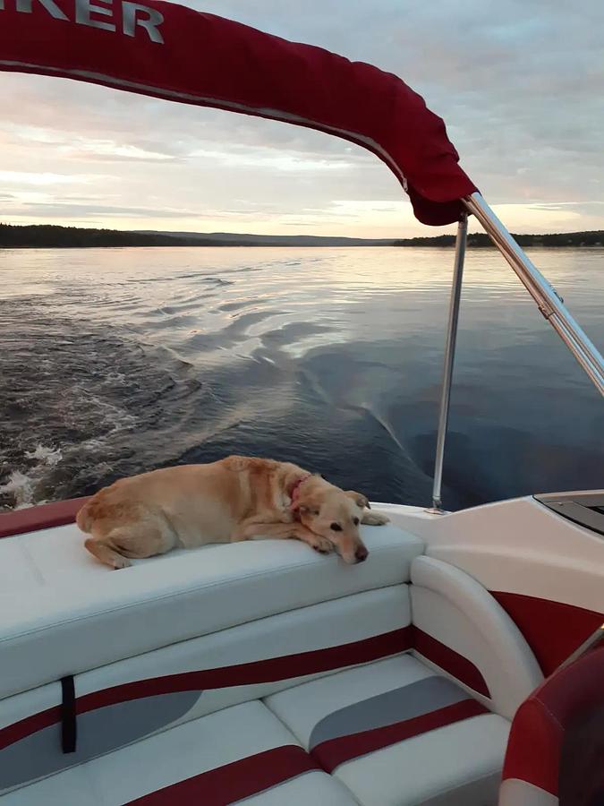 Used 2017 Rinker Boat Co QX-19