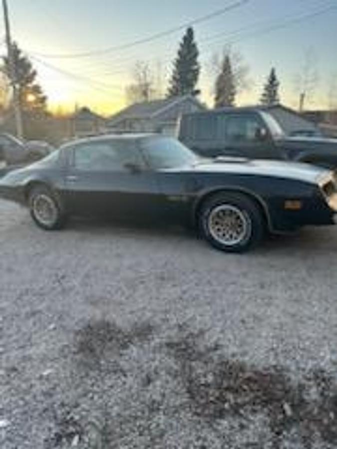 Used 1977 Pontiac Trans Am