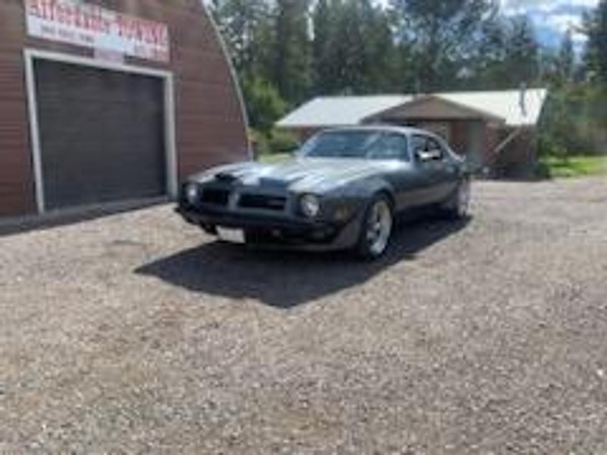 Used 1974 Pontiac Firebird Formula