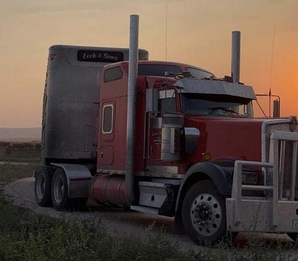 Used 2006 KENWORTH W900L